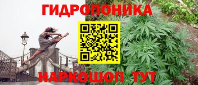 круглые Новокубанск