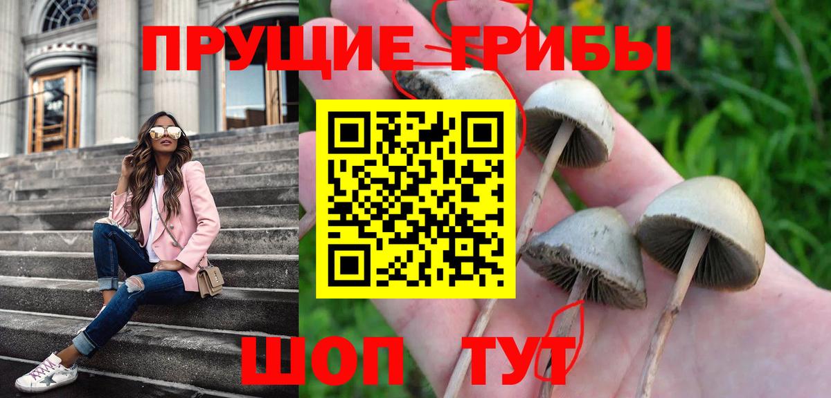 Псилоцибиновые грибы Magic Shrooms Унеча